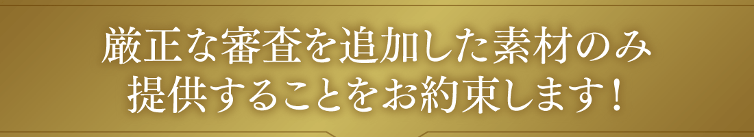 厳正な審査を追加した素材のみ提供することをお約束します！