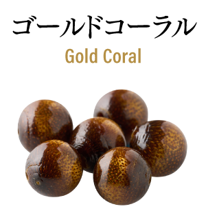 ゴールドコーラル　Gold Coral